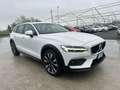Volvo V60 Cross Country V60 Cross 2.0 b4 Business Pro awd auto - GE939CH Bianco - thumbnail 7