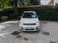 Fiat Panda 1.2 Dynamic 69cv E5--Ideale per Neopatentati Wit - thumbnail 2