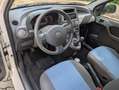 Fiat Panda 1.2 Dynamic 69cv E5--Ideale per Neopatentati Wit - thumbnail 10