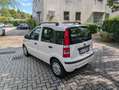 Fiat Panda 1.2 Dynamic 69cv E5--Ideale per Neopatentati Wit - thumbnail 7