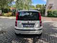 Fiat Panda 1.2 Dynamic 69cv E5--Ideale per Neopatentati Wit - thumbnail 6
