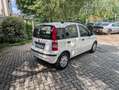 Fiat Panda 1.2 Dynamic 69cv E5--Ideale per Neopatentati Wit - thumbnail 5