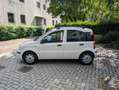 Fiat Panda 1.2 Dynamic 69cv E5--Ideale per Neopatentati Wit - thumbnail 8