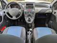 Fiat Panda 1.2 Dynamic 69cv E5--Ideale per Neopatentati Wit - thumbnail 11