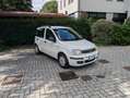 Fiat Panda 1.2 Dynamic 69cv E5--Ideale per Neopatentati Wit - thumbnail 3