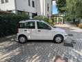 Fiat Panda 1.2 Dynamic 69cv E5--Ideale per Neopatentati Wit - thumbnail 4
