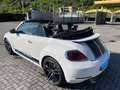 Volkswagen Maggiolino Cabrio 1.4 tsi Sport 160cv dsg Wit - thumbnail 4