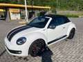 Volkswagen Maggiolino Cabrio 1.4 tsi Sport 160cv dsg Wit - thumbnail 16