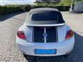 Volkswagen Maggiolino Cabrio 1.4 tsi Sport 160cv dsg Wit - thumbnail 20