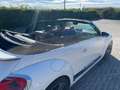 Volkswagen Maggiolino Cabrio 1.4 tsi Sport 160cv dsg Wit - thumbnail 3