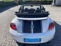 Volkswagen Maggiolino Cabrio 1.4 tsi Sport 160cv dsg Wit - thumbnail 5