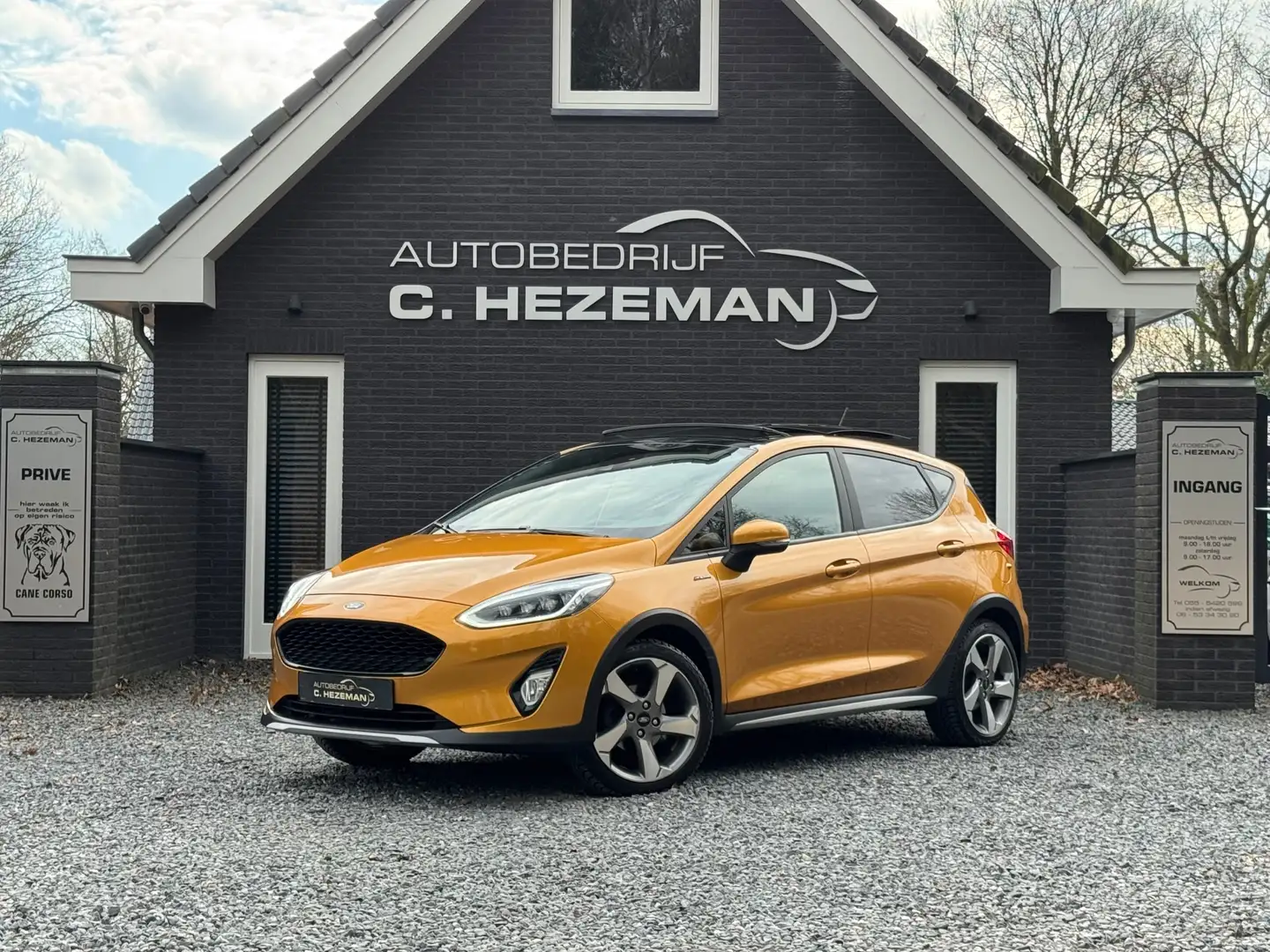 Ford Fiesta 1.0 125pk Active 1E EIG PANORAMADAK FULL LED CAMER Gold - 2