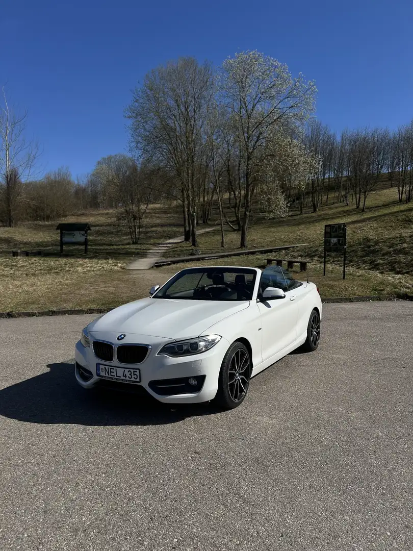 BMW 220 220d Cabrio Sport Line - 1