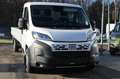 Fiat Ducato Maxi L6 Pritsche länge 6,1m Nutzlast ca ... Weiß - thumbnail 3