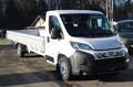 Fiat Ducato Maxi L6 Pritsche länge 6,1m Nutzlast ca ... Weiß - thumbnail 2