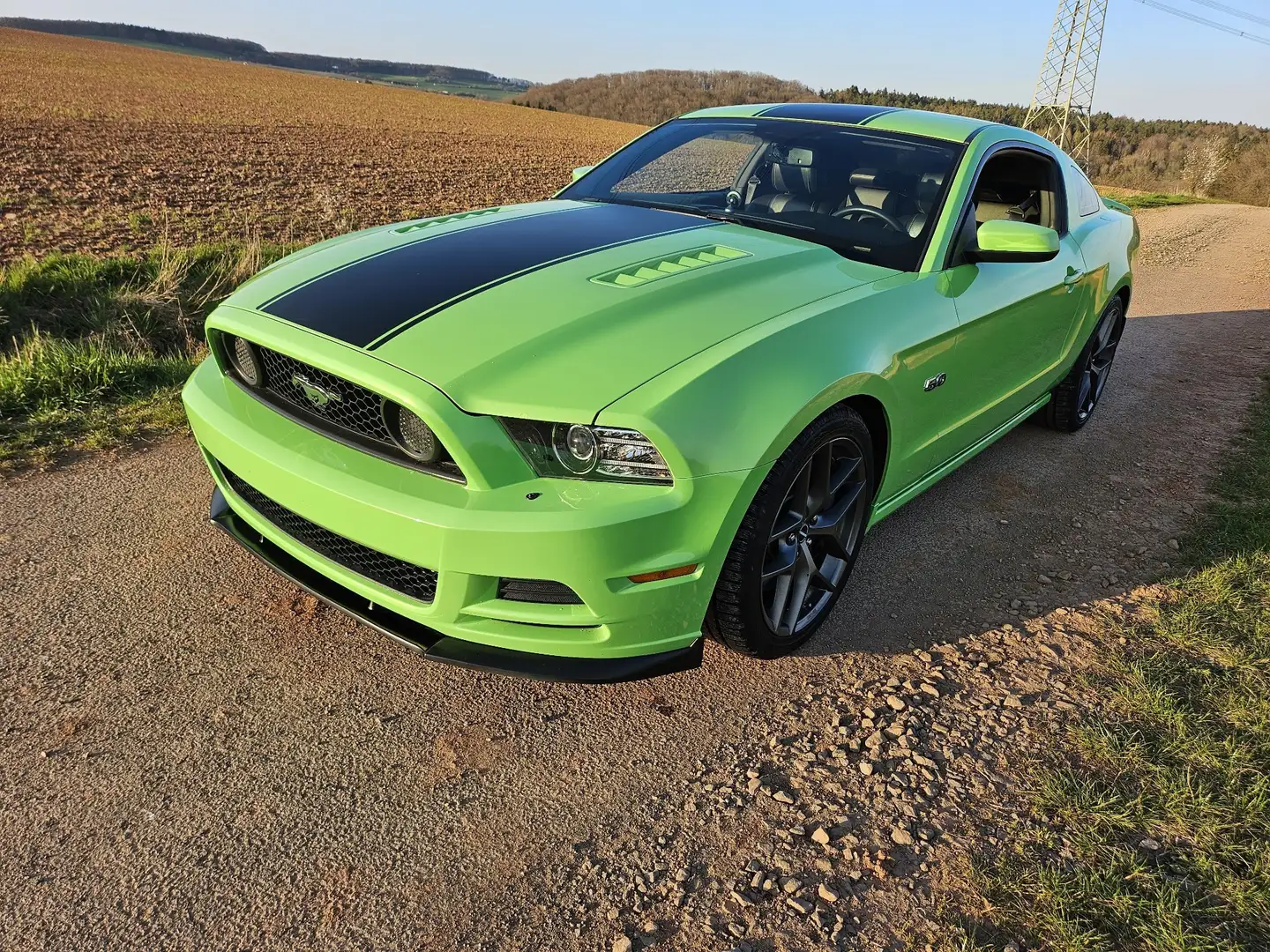 Ford Mustang 5.0 Ti-VCT V8 GT Zelená - 2