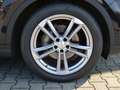 Audi Q7 3.0 TDI 272 PS qu. VOLL/LUFT/AHK/PANORAMA/STAND-H Schwarz - thumbnail 6