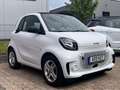 smart forTwo coupe electric drive  EQ *Batt. inkl* Weiß - thumbnail 3