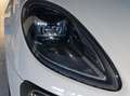 Porsche Macan Macan I 2022 2.9 GTS 440cv pdk Weiß - thumbnail 7