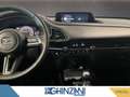 Mazda CX-30 2.0L M Hybrid 2WD Homura Gris - thumbnail 9