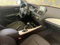 BMW 116 116d 5p. Sport Bianco - thumbnail 9