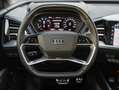 Audi 50 e-tron quattro S line 220 kW Blau - thumbnail 17
