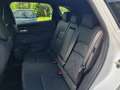 Nissan Qashqai 1,3 DIG-T MHEV Tekna Xtronic *ab € 32.990,-* Silber - thumbnail 13