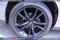 Dodge Challenger 3.6 V6 AT8 SXT *EUROPEA Gris - thumbnail 29