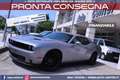 Dodge Challenger 3.6 V6 AT8 SXT *EUROPEA Gris - thumbnail 1