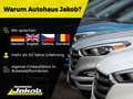 Ford Tourneo Courier 1.5 TDCi Trend Czerwony - thumbnail 17