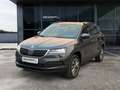 Skoda Karoq Clever 1.5 TSI DSG AHK PDC v+h Navi Rückfahrk. Grau - thumbnail 1