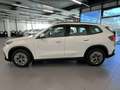 BMW iX1 xDrive30 RFK NAVI Standh. LED Sound Syst. Weiß - thumbnail 2