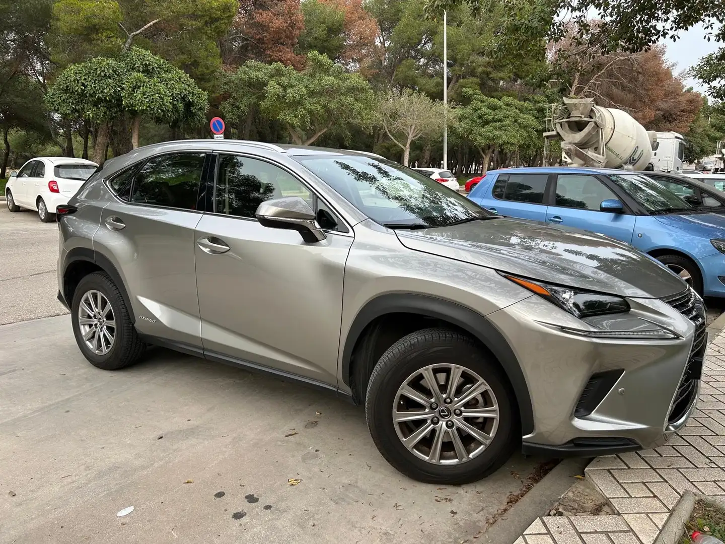 Lexus NX 300h NX 300h Executive 4WD Executive Plateado - 1