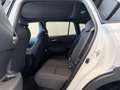 Toyota Corolla Cross 2,0 Hybrid Design AWD Weiß - thumbnail 12