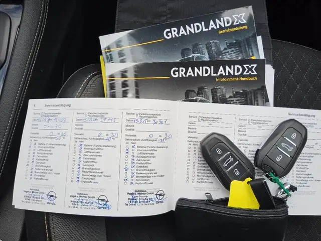 Opel Grandland X view 4