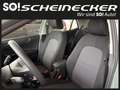 Kia Picanto 1,2 DPI Silber Vert - thumbnail 12
