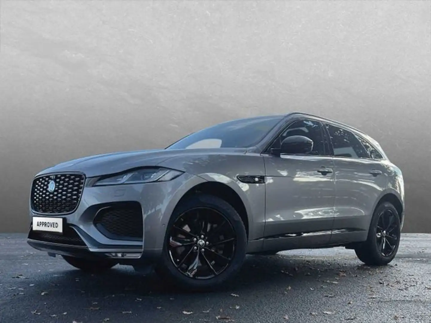 Jaguar F-Pace Diesel D300 AWD R-Dynamic SE 90th Anniver Grau - 1