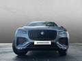 Jaguar F-Pace Diesel D300 AWD R-Dynamic SE 90th Anniver Grau - thumbnail 8
