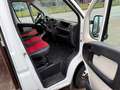 Fiat Ducato Kasten 28 115 /1.Hand/ TÜV NEU Blanco - thumbnail 21