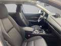 Mazda CX-30 2.5 e-Skyactiv-G Homura FWD 103kW Blanco - thumbnail 19