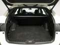 Subaru OUTBACK Field Blanco - thumbnail 12