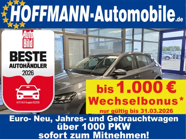 Skoda Fabia Style App-Connect,Sitzheizung,Kamera