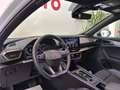 CUPRA Formentor 2.0 TDI 4Drive DSG 4 ANNI GARANZIA CUPRA - thumbnail 15