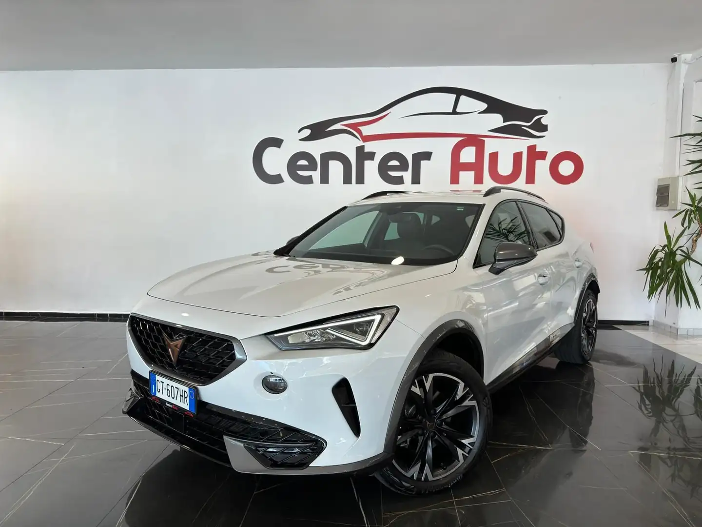CUPRA Formentor 2.0 TDI 4Drive DSG 4 ANNI GARANZIA CUPRA - 1