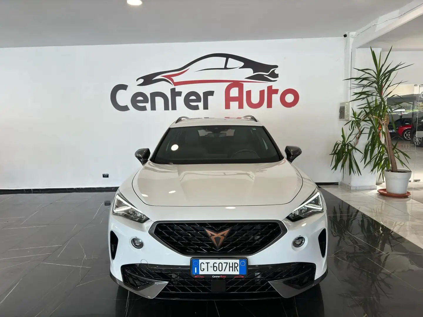 CUPRA Formentor 2.0 TDI 4Drive DSG 4 ANNI GARANZIA CUPRA - 2