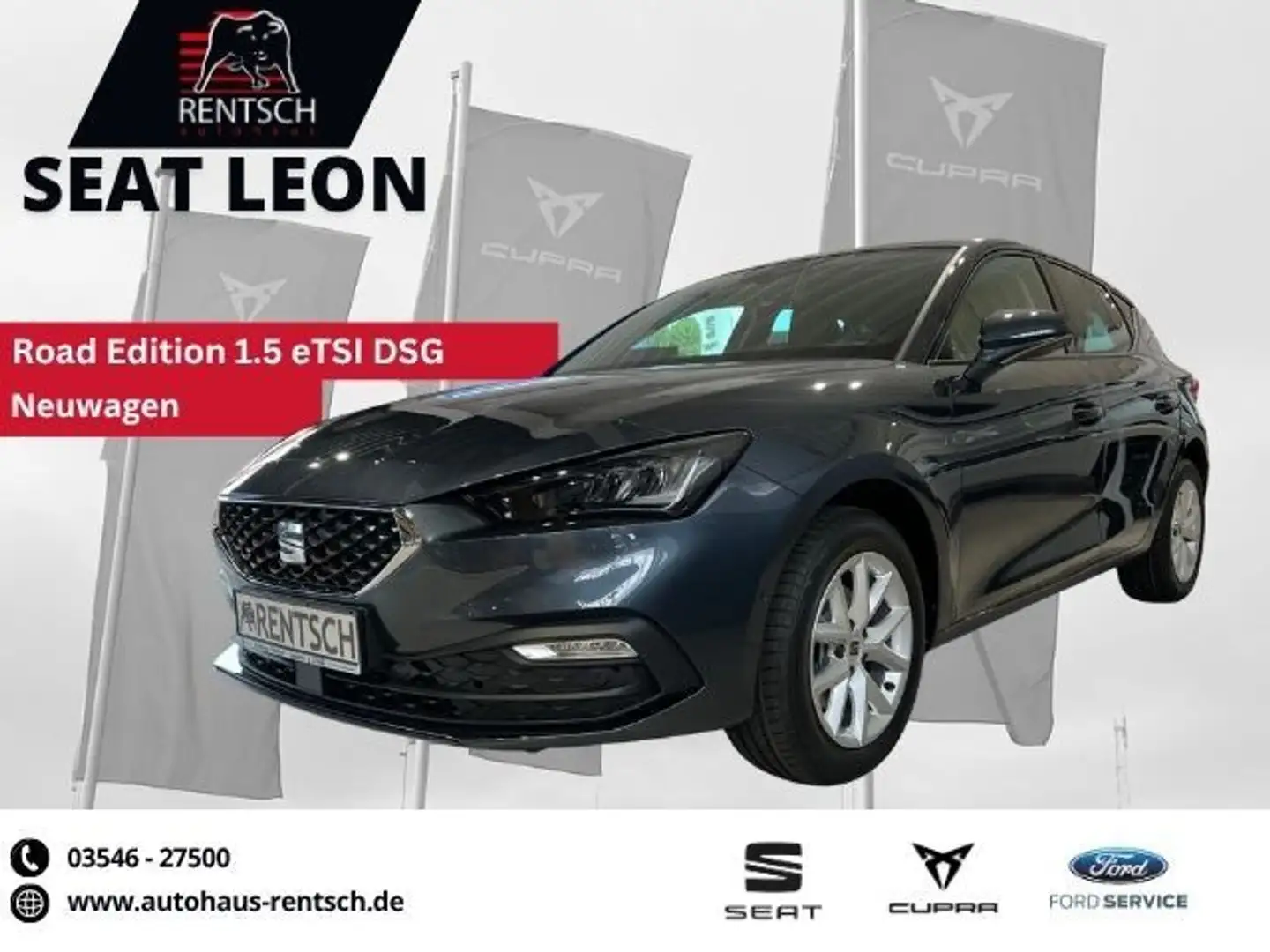 SEAT Leon 1.5 eTSI Road Edition DSG *KAMERA*SHZ*LED* Grijs - 1