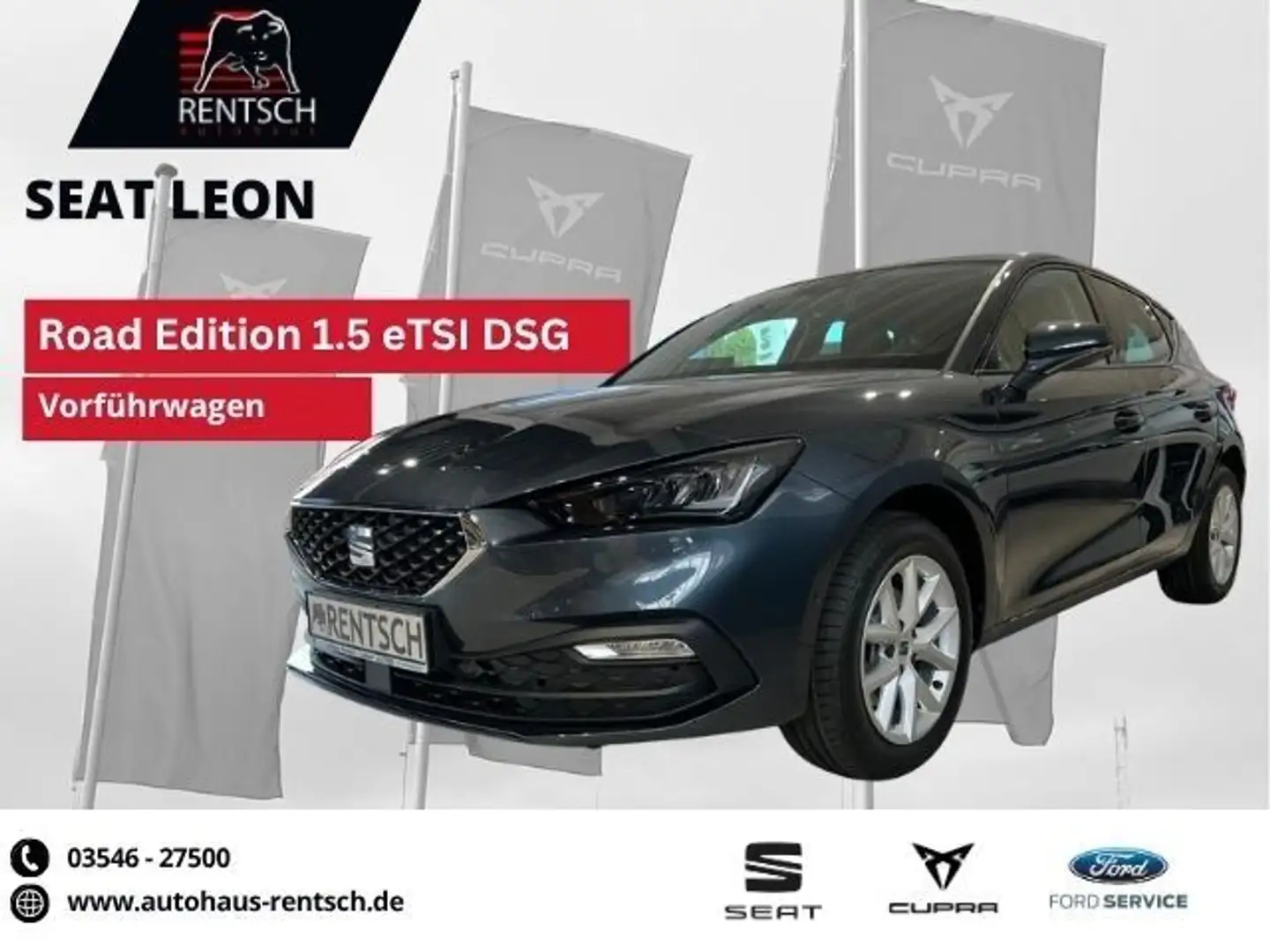 SEAT Leon 1.5 eTSI Road Edition DSG *KAMERA*SHZ*LED* Gris - 1