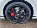 Volkswagen Golf GTI CLUBSPORT 2.0 TSI DSG GTI-PERFORMANCE-P Weiß - thumbnail 8