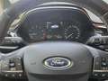 Ford Fiesta Vignale 1.0 EcoBoost S/S 100 Plateado - thumbnail 36