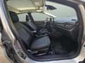 Ford Fiesta Vignale 1.0 EcoBoost S/S 100 Plateado - thumbnail 32